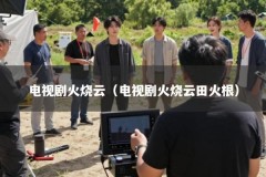 电视剧火烧云（电视剧火烧云田火根）