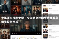 少年派电视剧免费（少年派电视剧免费观看高清完整版西瓜）