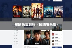 石琥采集教程（琥珀石采集）