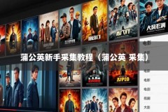 蒲公英新手采集教程（蒲公英 采集）