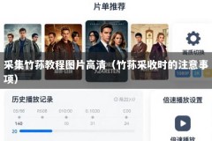 采集竹荪教程图片高清（竹荪采收时的注意事项）