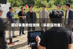 蘑菇采集教程视频（采蘑菇效果）