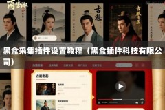 黑盒采集插件设置教程（黑盒插件科技有限公司）