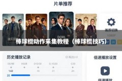 棒球棍动作采集教程（棒球棍技巧）